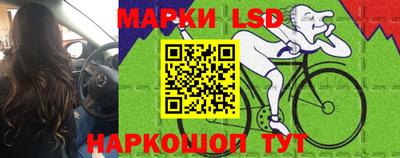каннабис Будённовск