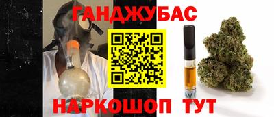 гашик Тула